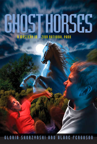 Gloria  Skurzynski. Mysteries In Our National Parks: Ghost Horses: A Mystery in Zion National Park