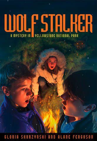 Gloria  Skurzynski. Mysteries in Our National Parks: Wolf Stalker: A Mystery in Yellowstone National Park