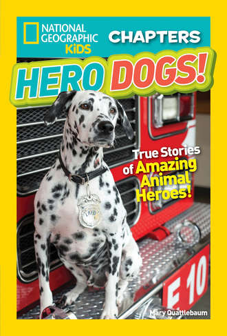 Mary  Quattlebaum. National Geographic Kids Chapters: Hero Dogs