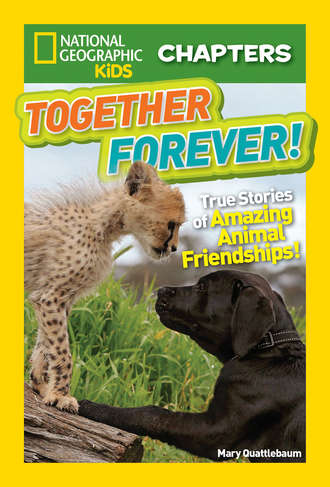 Mary  Quattlebaum. National Geographic Kids Chapters: Together Forever: True Stories of Amazing Animal Friendships!
