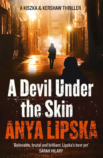 Anya  Lipska. A Devil Under the Skin