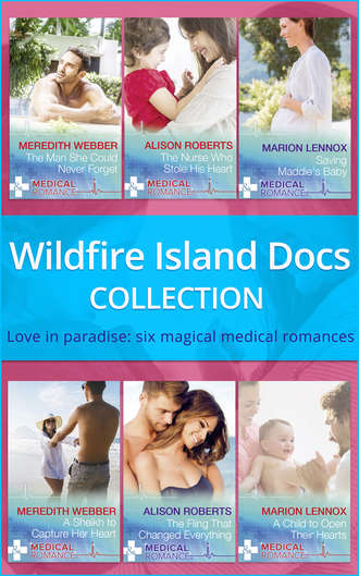 Marion  Lennox. Wildfire Island Docs: The Man She Could Never Forget / The Nurse Who Stole His Heart / Saving Maddie's Baby / A Sheikh to Capture Her Heart / The Fling That Changed Everything / A Child to Open Their Hearts