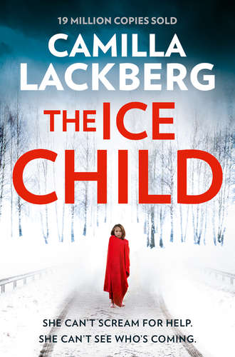 Камилла Лэкберг. The Ice Child