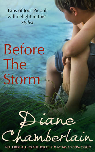 Diane  Chamberlain. Before the Storm