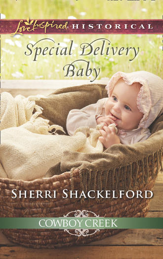 Sherri  Shackelford. Special Delivery Baby