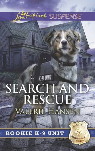 Valerie  Hansen. Search And Rescue