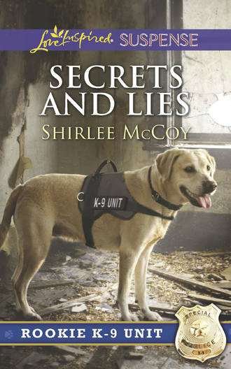 Shirlee  McCoy. Secrets And Lies