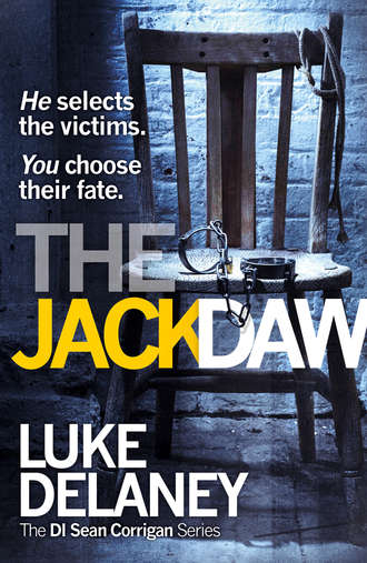 Luke  Delaney. The Jackdaw