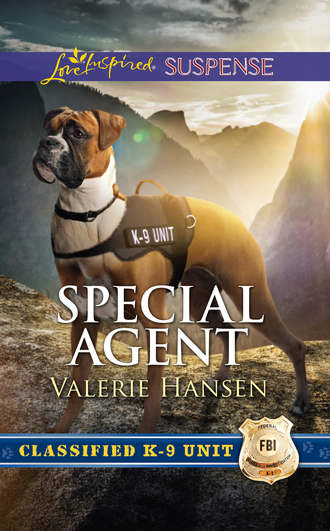 Valerie  Hansen. Special Agent