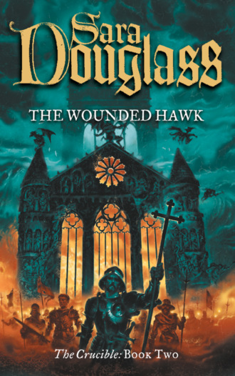 Sara  Douglass. The Wounded Hawk