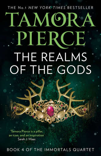 Tamora  Pierce. The Realms of the Gods