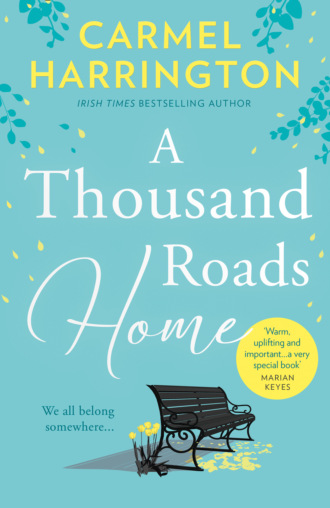Carmel  Harrington. A Thousand Roads Home: ‘A weepy but important book’ Cecelia Ahern