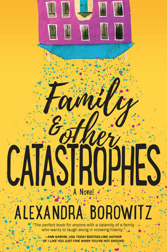 Alexandra  Borowitz. Family And Other Catastrophes