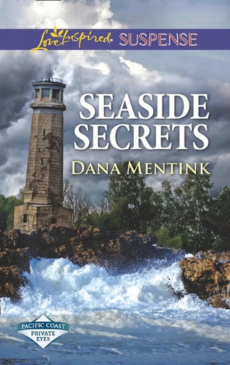 Dana  Mentink. Seaside Secrets