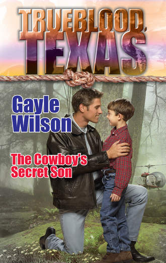 Gayle  Wilson. The Cowboy's Secret Son