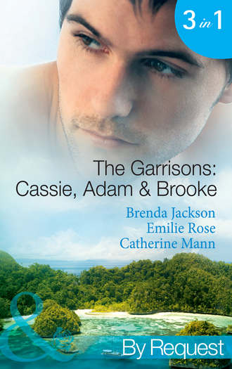 Brenda Jackson. The Garrisons: Cassie, Adam & Brooke: Stranded with the Tempting Stranger