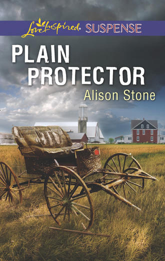 Alison  Stone. Plain Protector