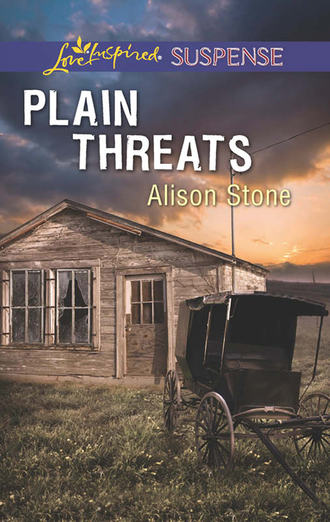 Alison  Stone. Plain Threats