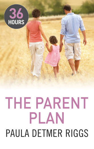 Paula Riggs Detmer. The Parent Plan
