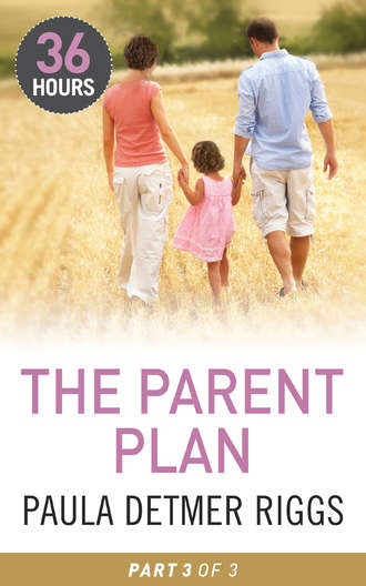 Paula Riggs Detmer. The Parent Plan Part 3