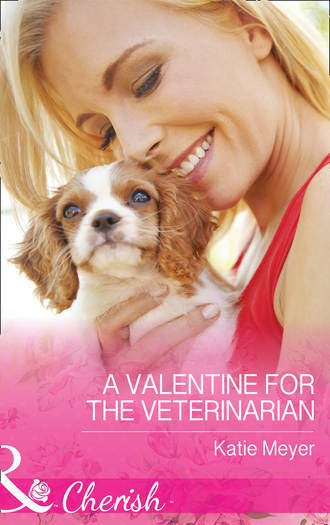 Katie  Meyer. A Valentine For The Veterinarian
