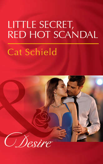 Cat Schield. Little Secret, Red Hot Scandal