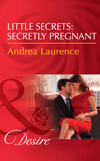 Andrea Laurence. Little Secrets: Secretly Pregnant