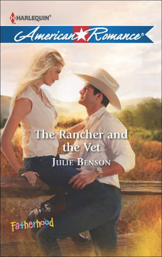 Julie  Benson. The Rancher and the Vet