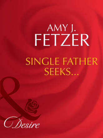 Amy Fetzer J.. Single Father Seeks...