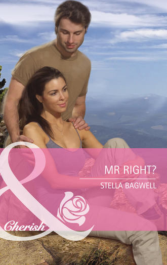 Stella  Bagwell. Mr Right?