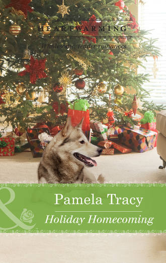 Pamela  Tracy. Holiday Homecoming