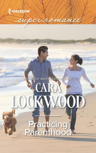 Cara  Lockwood. Practicing Parenthood