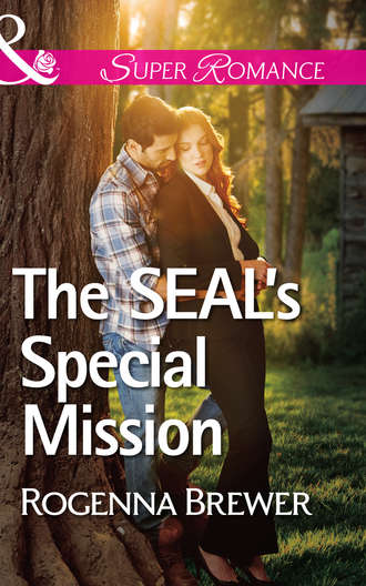 Rogenna  Brewer. The SEAL's Special Mission