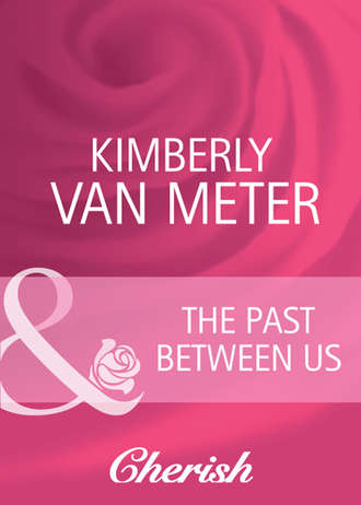 Kimberly Meter Van. The Past Between Us