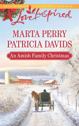 Patricia  Davids. An Amish Family Christmas: Heart of Christmas / A Plain Holiday