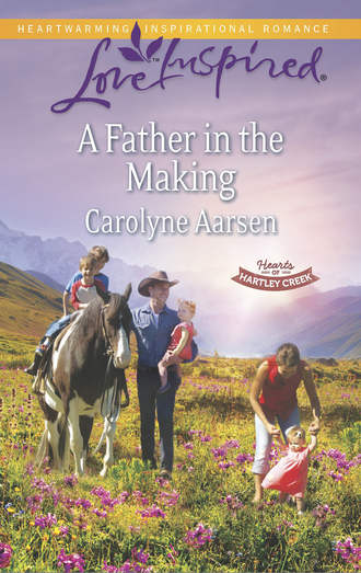 Carolyne  Aarsen. A Father in the Making