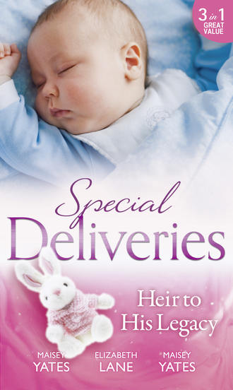 Elizabeth Lane. Special Deliveries: Heir To His Legacy: Heir to a Desert Legacy