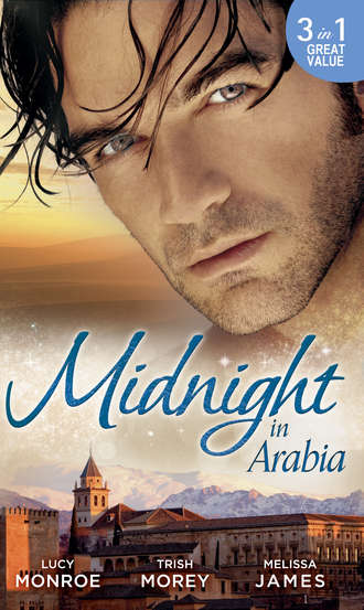 Люси Монро. Midnight in Arabia: Heart of a Desert Warrior / The Sheikh's Last Gamble / The Sheikh's Jewel