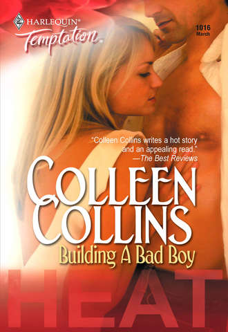 Colleen  Collins. Building a Bad Boy