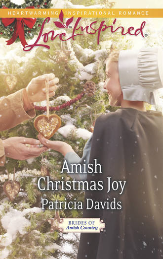 Patricia  Davids. Amish Christmas Joy