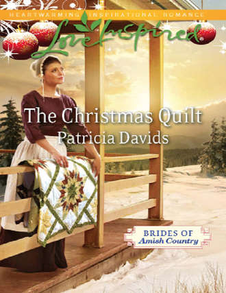 Patricia  Davids. The Christmas Quilt