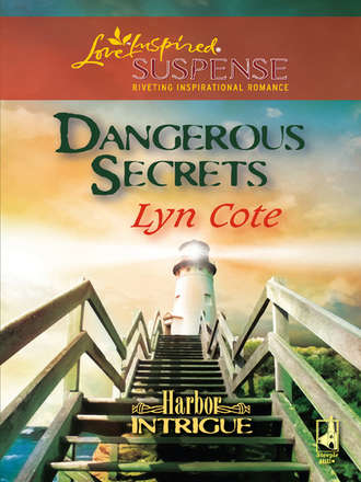 Lyn  Cote. Dangerous Secrets