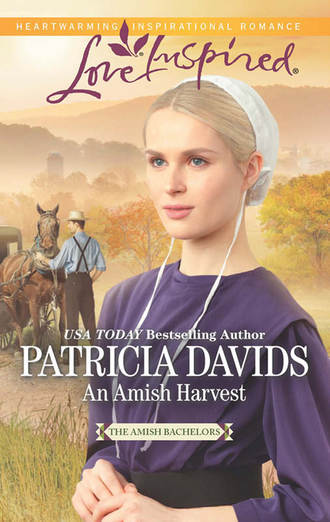 Patricia  Davids. An Amish Harvest