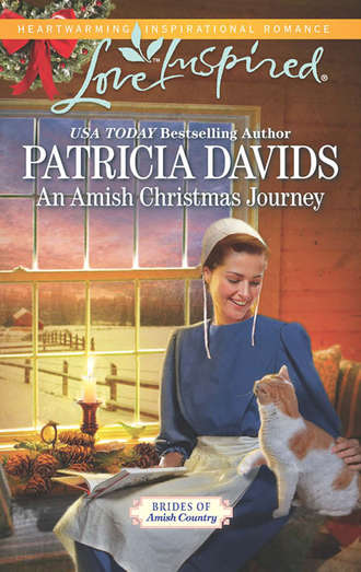 Patricia  Davids. An Amish Christmas Journey