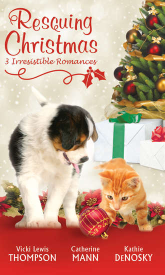 Kathie DeNosky. Rescuing Christmas: Holiday Haven / Home for Christmas / A Puppy for Will