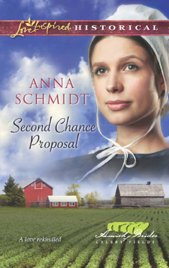 Anna  Schmidt. Second Chance Proposal