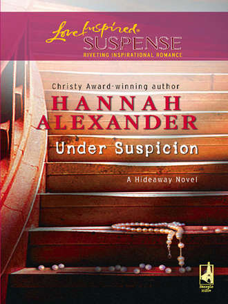 Hannah  Alexander. Under Suspicion