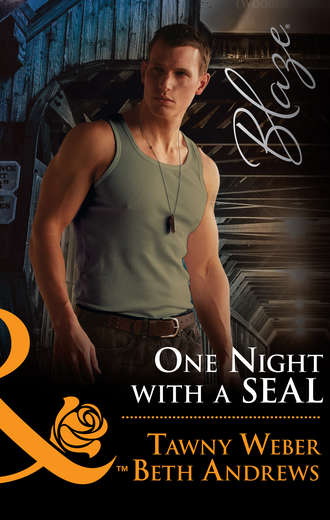 Tawny Weber. One Night With A Seal: All Out