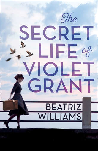 Beatriz  Williams. The Secret Life of Violet Grant