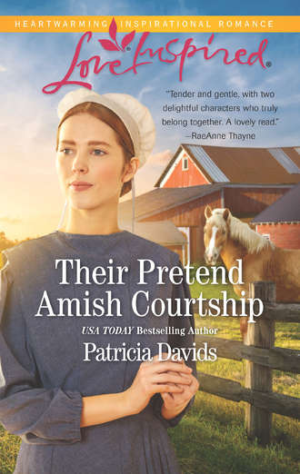 Patricia  Davids. Their Pretend Amish Courtship